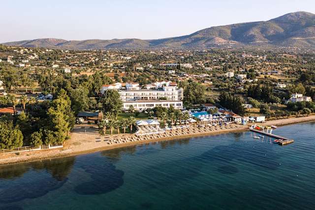Brown Beach Eretria