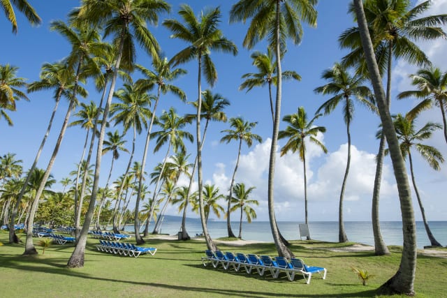 Wyndham Alltra Samana